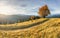 Majestic lonely beech tree on a hill mountain autumn landscape.