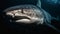 Majestic mammal smiling, close up portrait of dolphin teeth underwater generated by AI