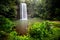 Majestic Millaa Millaa Waterfall