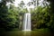 Majestic Millaa Millaa Waterfall