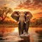 Majestic Moment - An elephant gracefully bathing in a golden sunset at the water's edge