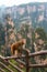 Majestic Monkeys Amidst the Peaks of China\\\'s Long Mountains