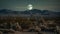 Majestic Moonrise over Desert Cacti