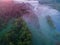 Majestic Morning: Captivating Aerial View of Misty Forest and River at Sunrise