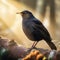 Majestic Morning Melody: Portrait of a Blackbird in Soft Morning Light