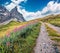 Majestic morning scene of Dolomiti Alps with Cimon della Pala mountain range on background. Stunning summer view from Rolle pass,