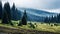 Majestic Mountain Landscape: Foggy Pine Trees In Nikon D850 Style