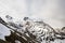 Majestic mountain peaks in the Alps