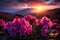 Majestic mountains embrace a field of rhododendron flowers during sunset\\\'s golden hour