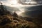 Majestic mountaintop covered in mist, offering a panoramic view of the valley, with the sun peeking through the clouds