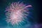 Majestic Multi Colored Fireworks background