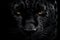 Majestic Mystery: Black Panther Face on Black Background (AI Generated)