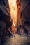 The Majestic Narrows of Zion National Park, Utah