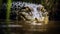 Majestic Nile Crocodile: Dominance in the Murky Mangrove Swamp