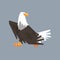 Majestic North American Bald Eagle character, symbol of freedom and independence vector illustration