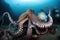 majestic octopus kraken in the depths of the ocean, with schools of fish swimming past