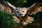 Majestic owl soars with outstretched wings in a captivating close up