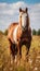 Majestic Paint Horse in Natural Meadow, AI Generated