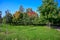 Majestic particolored forest with sunny beams. Natural park. Dramatic unusual scene. Red and yellow autumn leaves