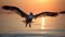 A majestic pelican soaring over a serene body of water. Generative AI