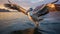 A majestic pelican soaring over a serene body of water. Generative AI