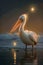 Majestic Pelican Standing on Shore Against Twilight Sky with Sparkling Stars, Wildlife Nature Scene