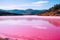 Majestic Pink lake view. Generate Ai