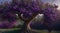 .A majestic plum tree stands tall in the center of a lush garden.