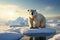 Majestic polar bear on an expansive ice floe, a stunning sight