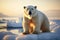 Majestic polar bear stands on vast ice floe, an imposing presence