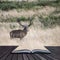 Majestic powerful red deer stag Cervus Elaphus in forest landscape during rut season in Autumn Fall coming out of pages of book