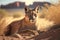 Majestic Puma in the desert close up shot, gerative AI