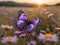 A majestic purple butterfly gracefully resting on a vibrant wildflower in a meadow at dawn