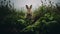 Majestic Rabbit In Foggy Woodland Landscape