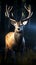 Majestic Red Deer: Stalwart Beauty in the Dark Forest