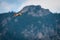 Majestic red kite bird flying at mountains