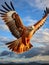 The Majestic Red Kite Soaring in the Sky