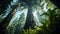 A majestic redwood tree soaring to the sky, surrounded by ferns