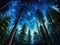 The Majestic Redwoods Under a Star-Filled Sky
