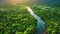 Majestic River Flowing Through a Verdant Forest, Aerial view of a winding river through a lush rainforest, AI Generated