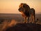 The Majestic Roar of a Lion in the Savannah Sunset