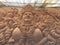 Majestic sand sculpture depicting Goddess Durga