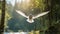 Majestic Seagull Soaring Through Enchanting Forest Landscape