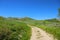 a majestic shot of the lush green hillside along a dirt hiking trail with deep blue sky