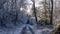 Majestic shot of a pathway through a forest covered in snow with the sun shining through trees