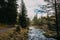 Majestic shot of a small stream of water flowing through an autumn forested area on a cloudy day