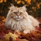 Majestic Siberian Cat on Bed of Autumn Leaves