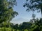 Majestic snowcapped Mount Kilimanjaro in Tanzania framed by palm fronds and trees