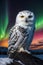 Majestic Snowy Owl Amidst Northern Lights: Arctic Beauty