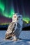 Majestic Snowy Owl Amidst Northern Lights: Arctic Beauty and Aurora Borealis